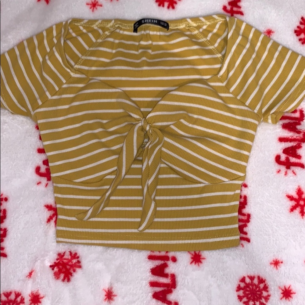 Striped low neck crop top